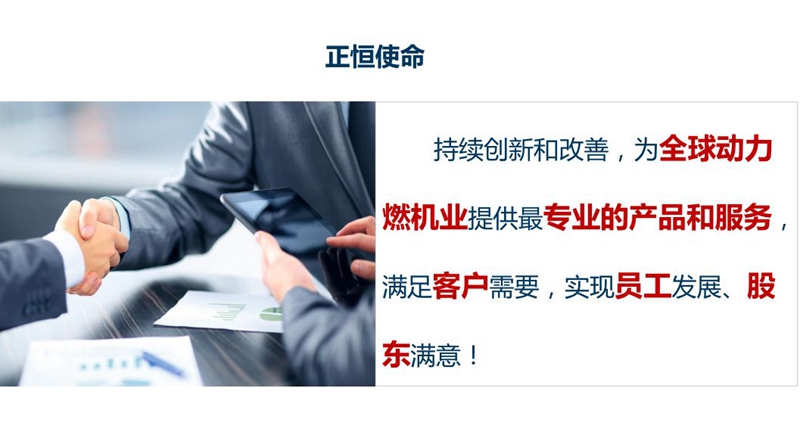 热烈祝贺伟德体育官方网站顺利通过“知识产权贯标”认证审核